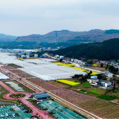 (忽闻海上有仙山是什么意思)忽闻海上有仙山，梦里寻觅不见，唯剩心中追忆和期许