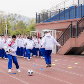 舞动星闪耀怎么下架了？神秘消失引发热议，粉丝心急如焚寻答案