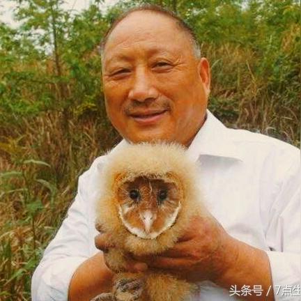 探秘奇妙动物园：带你体验一场有趣的动物园游与珍稀动物的亲密接触