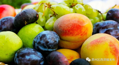 以李氏仙族桃梨李杏为主题，揭秘无冕之冠的果园之王 —— 异域稀奇果实盛展：一窥李氏仙族桃,梨,李,杏四大珍稀果品之秘密