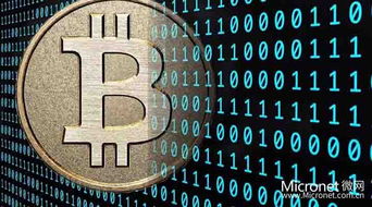 (探寻谜团:揭秘代号第几关背后的秘密与挑战答案)探寻谜团：揭秘代号第几关背后的秘密与挑战