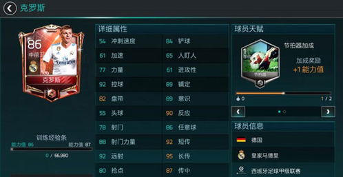 进化世界攻略大全：从基础玩法到高级技巧，全方位揭秘游戏秘籍与策略