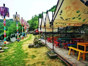 (喵喵谷生态游乐景区)探索喵喵岛纸绘文化:从传统艺术到现代创意的奇妙旅程 (喵喵谷生态游乐景区)探索喵喵岛纸绘文化:从传统艺术到现代创意的奇妙旅程