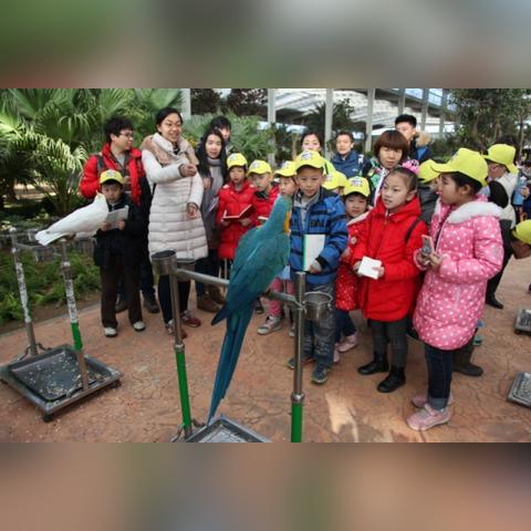 浪漫庄园植物变异大全：探寻浪漫之美，发现植物的神秘变异特征