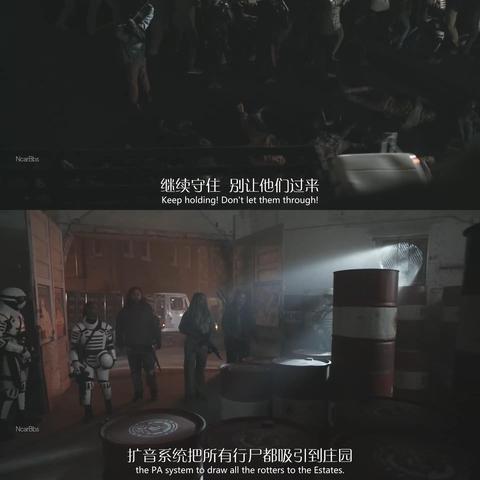 浪漫庄园植物变异大全：探寻浪漫之美，发现植物的神秘变异特征