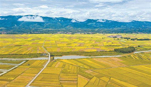 (芒市为什么叫黎明之城)探索芒市被誉为黎明之城的背后原因及其独特文化魅力