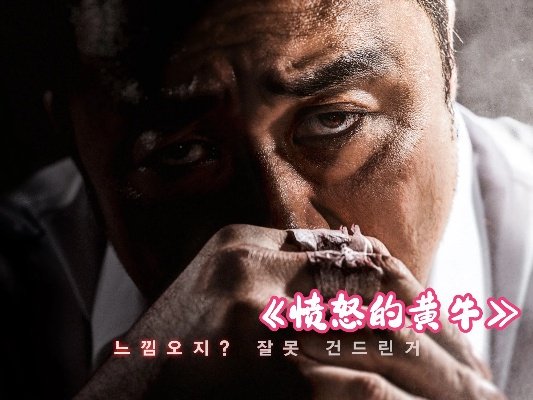 (中国版愤怒的黄牛 rmvb 下载)中国版愤怒的黄牛：浮躁愤怒的商业帝国