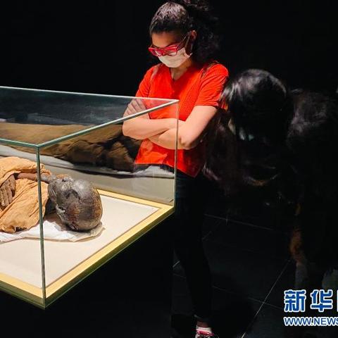 (古埃及木乃伊国度探秘)探寻埃及古文明之谜，木乃伊游戏大全让你沉浸其中