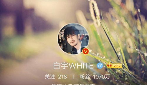 可以恋爱但没必要九种结局：聚少离多、相濡以沫、以彼之道、爱情易逝、慎重选择、需谨慎斟酌、爱情真实面目、离合悲欢离别恨、殊途同归。