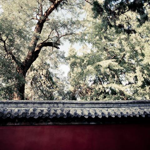 (南朝四百八十寺 多少楼台烟雨中是哪里)南朝四百八十寺多少楼台烟雨中，历史的沉淀与文化的升华共存