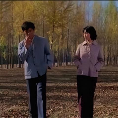 希望之村2来生：探寻新的开始与可能，重生的道路仍在远方等待着我们