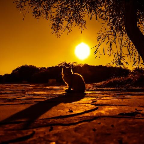 (追逐黄昏与夕阳的美丽时光是什么歌)追逐黄昏与夕阳的美丽时光