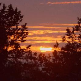 (追逐黄昏与夕阳的美丽时光是什么歌)追逐黄昏与夕阳的美丽时光