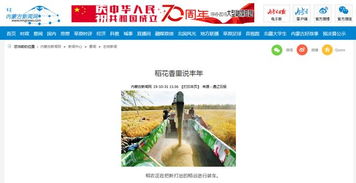 (浪漫庄园矿产大全)浪漫庄园矿产分布研究报告：挖掘庄园中的宝藏