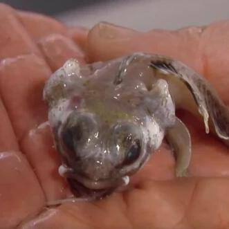 (穿越时空宇宙探秘纪录片国语)穿越宇宙时空：探索未知世界的奇妙旅程