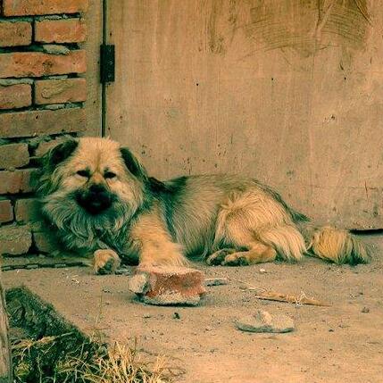 (在哪里是啥意思)在哪里是个地方是什么意思? (在哪里是啥意思)在哪里是个地方是什么意思?