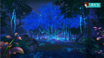 (幽幽森林)在幽森的树林中探寻迷失的秘密与神秘生物的传说