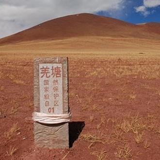 (独行独走)探索独行之旅：独行道手游带你穿越未知世界