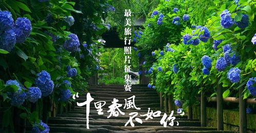 花田小院停更好久了，静待春风归来，梦回花开时节的温暖与美好