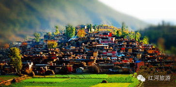 《阿呆和村庄》：一个温馨有趣的冒险故事，揭示村庄里藏着的秘密与真相