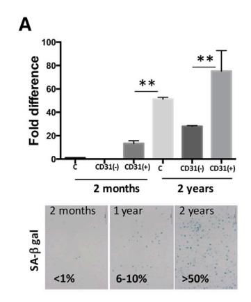 (核废水处理原理)从细胞到奇点：探索核废水版本的处理技术与环境影响