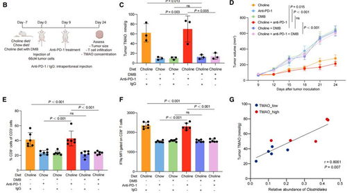 (核废水处理原理)从细胞到奇点：探索核废水版本的处理技术与环境影响