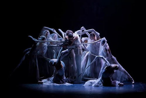 探秘鲁爆三国：历史真相揭秘，传说中的惊世大秘密终于揭开面纱