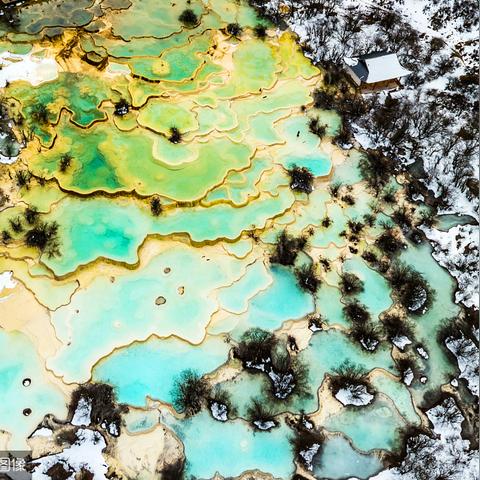 (雷霆狂暴漩涡评测)雷霆狂暴巨龙：威猛无畏、巍然屹立，统领天空的霸主