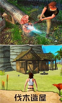 (我的荒岛探险之旅)穿越我的荒野冒险世界：探索未知之地，发现内心之旅