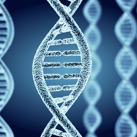 深度阐述生物科学视角下：如何创作生动丰富的细胞成长日记并揭示其科学内涵