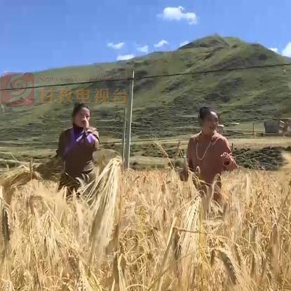 这城有良田手机账号密码登录方式如何操作？