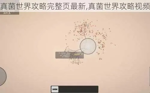 (真菌世界教程)探秘微观生物：真菌世界攻略16关详细解析与闯关指南