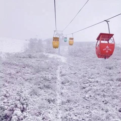 (一起来飞车官方版本下载安装)一起来飞车下载安装，同欢乐激情驰骋极速世界