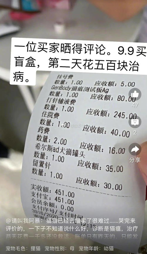 (上海禁止宠物入境)上海举办拒绝异宠入境活动，呼吁市民保护本地生态环境