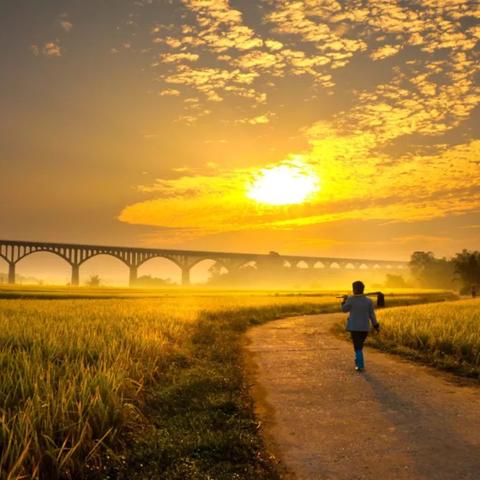 心怀探索：天际冒险队游戏中如何培养团队精神与战略决策能力深度解读