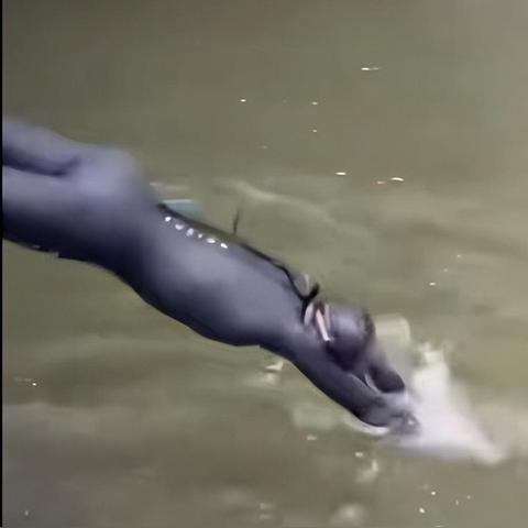 2024烹饪餐厅游戏大全：尽享美食之旅，打造属于你自己的料理王国!