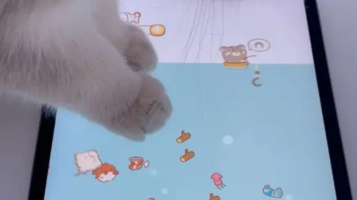 (猫咪在平板上玩鱼)小猫在平板上玩抓鱼游戏，捕捉每一条快乐
