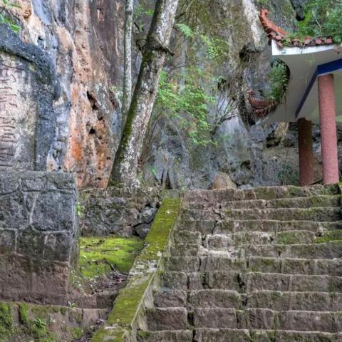 (丛林原始人部落电影)在丛林深处偶遇神秘原始人女子：探秘古老部落的秘密