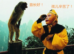 (原始人猴子)冲啊,原始人猴哥!带着什么装备战斗! (原始人猴子)冲啊,原始人猴哥!带着什么装备战斗!