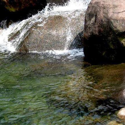 怪石滩涂钓鱼攻略: 如何在崎岖地形中找到最佳垂钓点并成功捕获大鱼？