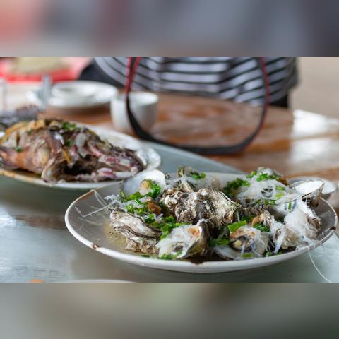 怪石滩涂钓鱼攻略: 如何在崎岖地形中找到最佳垂钓点并成功捕获大鱼? 怪石滩涂钓鱼攻略: 如何在崎岖地形中找到最佳垂钓点并成功捕获大鱼?