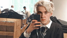 (40. hp我是马尔福家的猫 bl文)HP因为我是马尔福，我注定不平凡的命运