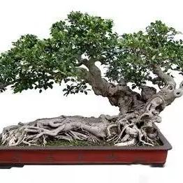 醉卧沙场意思是什么?解读醉卧沙场的含义及来源,故事传说尽在此处 醉卧沙场意思是什么?解读醉卧沙场的含义及来源,故事传说尽在此处