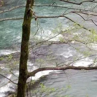 (原始传奇1.76怀旧版手游)经典原始传奇版本1.76官网,重温传奇经典,开启无尽冒险! (原始传奇1.76怀旧版手游)经典原始传奇版本1.76官网,重温传奇经典,开启无尽冒险!