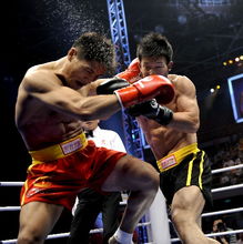 (华夏国武散打)国产武打最强大的电影:华夏功夫震撼世界 (华夏国武散打)国产武打最强大的电影:华夏功夫震撼世界