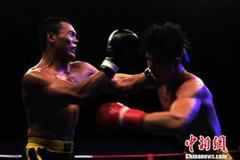 (华夏国武散打)国产武打最强大的电影：华夏功夫震撼世界