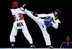 (华夏国武散打)国产武打最强大的电影:华夏功夫震撼世界 (华夏国武散打)国产武打最强大的电影:华夏功夫震撼世界