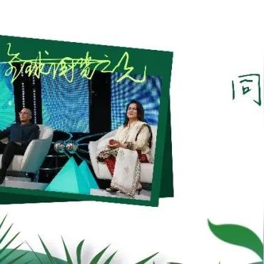 勇敢的哈克手机免费完整版：勇闯未知领域，挑战极限探索神秘世界