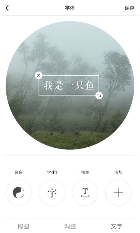 (ocamera软件的使用教程)深入评测和使用体验：Ocamera手机版摄影应用全面解析