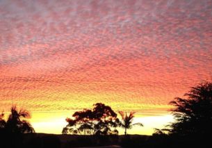 (夕阳之歌?)探寻夕阳之歌百科：它的故事、它的魅力、它的奥秘。